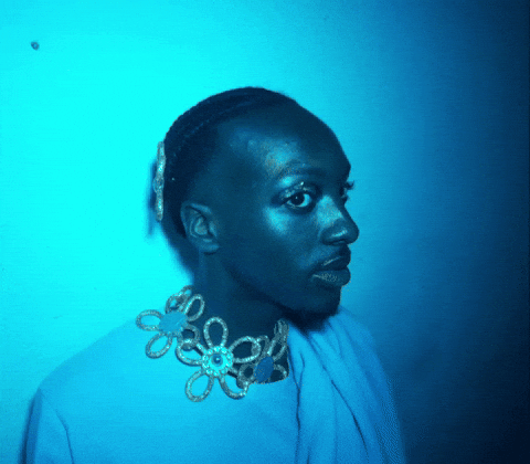 k4mera giphyupload GIF