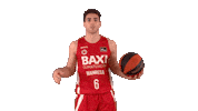 Liga Endesa Basketball Sticker by ACB