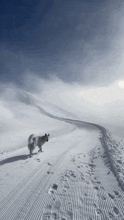 ehdgus1211 giphyupload GIF