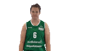 Sport Basketball Sticker by Basket_fi