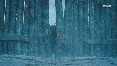 The Last Of Us Wall GIF by Max