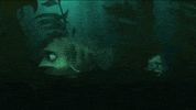 finding dory GIF by Disney/Pixar's Finding Dory