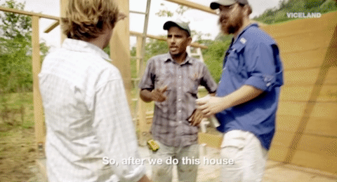 viceland GIF by JUNGLETOWN