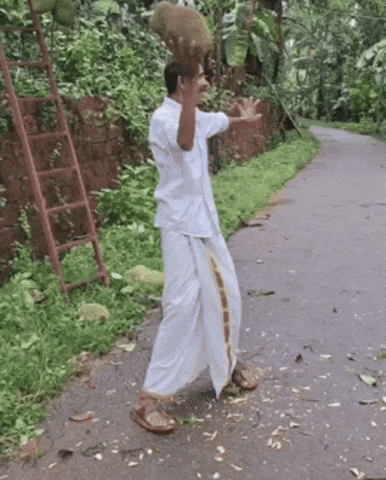 Gangnam Style Jackfruit GIF