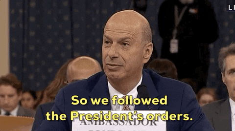 Impeachment Hearings GIF by GIPHY News