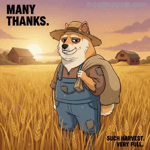 Shiba Inu Farm GIF by Doge Pound