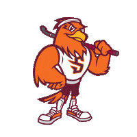Field Hockey College Sticker by Susquehanna University