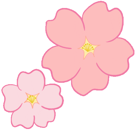 Cherry Blossom 桜 Sticker