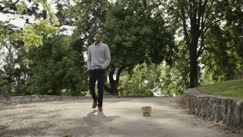 dog fetch GIF by ADWEEK