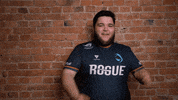 Happy Team GIF by Rogue