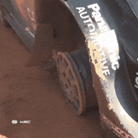 Racing Rallying GIF by FIA World Rally Championship