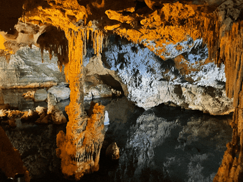 tobywagstaff giphygifmaker giphyattribution GIF