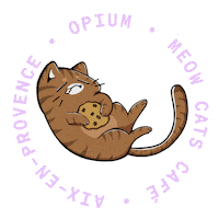 Aix-En-Provence Cute Cat Sticker by Meow Cats Café