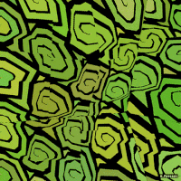 art geometry GIF by Michel Poisson