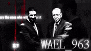 Wael GIF