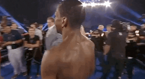 toprank giphyupload boxing fighting champion GIF