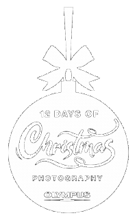 Christmas Photography Sticker by Olympus UK