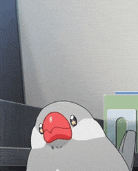 gunien-hua giphyupload bird buncho java sparrow GIF