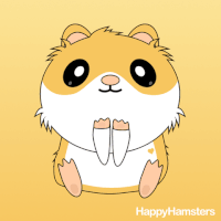 happy rainbow GIF by AM by Andre Martin