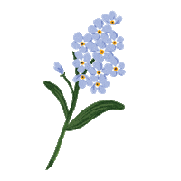 Flower Spring Sticker by Rifle Paper Co.