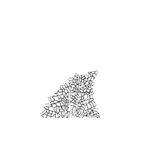 BlacktipScuba fin shark fin blacktipscuba blacktip scuba Sticker