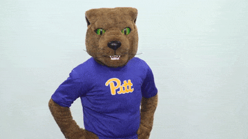 GIF by Pitt Panthers