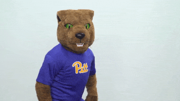 pittpanthers  GIF
