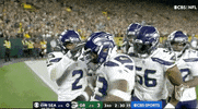 Seattle Seahawks Football GIF by NFL