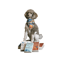 Wheel Of Time Books Sticker by Geekster Pets