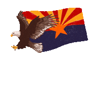 Voting Rights Arizona Sticker by Creative Courage