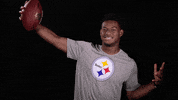 Pittsburgh Steelers GIF by NFL