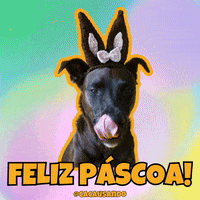 Dog Puppy GIF