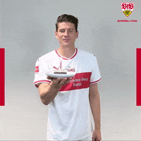 blow out cake GIF by VfB Stuttgart