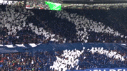 Football Soccer GIF by FC Schalke 04