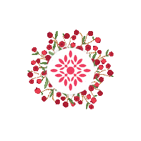 Brusinkabrno Sticker by Multicultural Center Brusinka