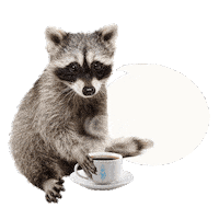 Coffee Waschbär Sticker by bildschnittTV