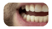 Happy Israel Sticker by The Elegant Smile
