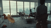 New York Friends GIF by Evann McIntosh