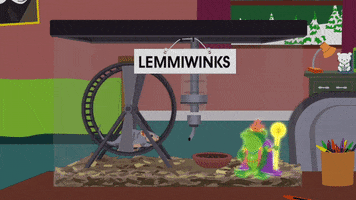 destiny frog GIF by South Park 