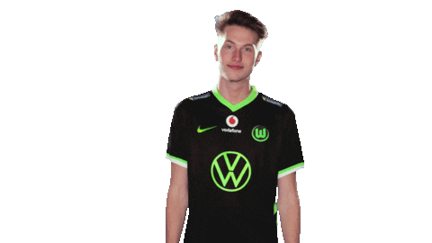 E Sports Sport Sticker by VfL Wolfsburg