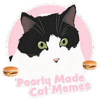 Animated Sticker