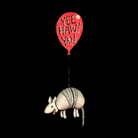 Limons_art texas yeehaw baloon armadillo GIF