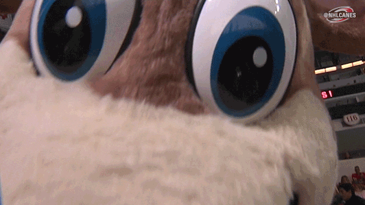 Ice Hockey Nod GIF by Carolina Hurricanes