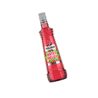 Puschkin summer red bear bar Sticker