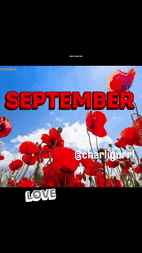 Yas September GIF by Charli Gurl