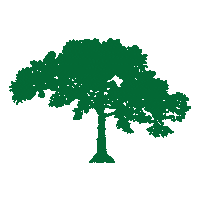 ReforestamosMX arbol reforestamos Sticker