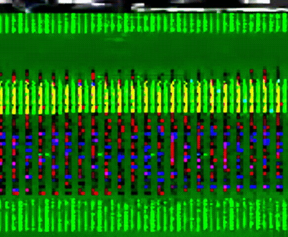 glitch GIF by haydiroket (Mert Keskin)
