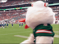 Ncaa Sports Mascot GIF by Miami Hurricanes