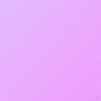 Bonjour Hello GIF