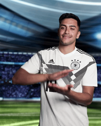sportschau sticker germany uefa deutschland GIF